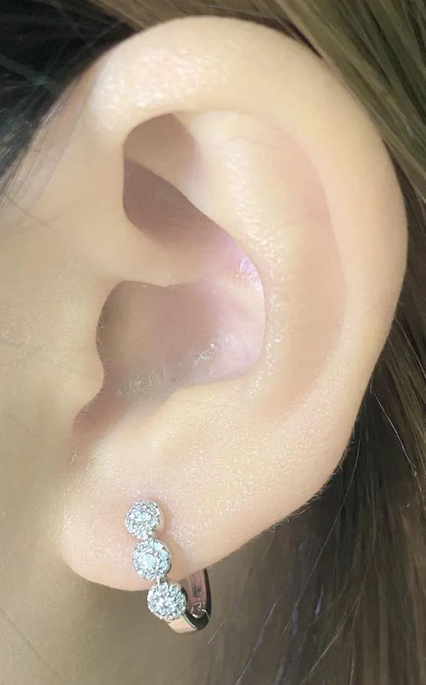 14mm Diamond Earrings CE14