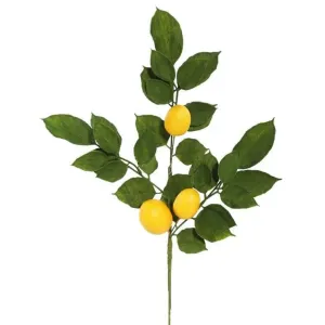 4 - Piece Artificial Lemon Branch Set
