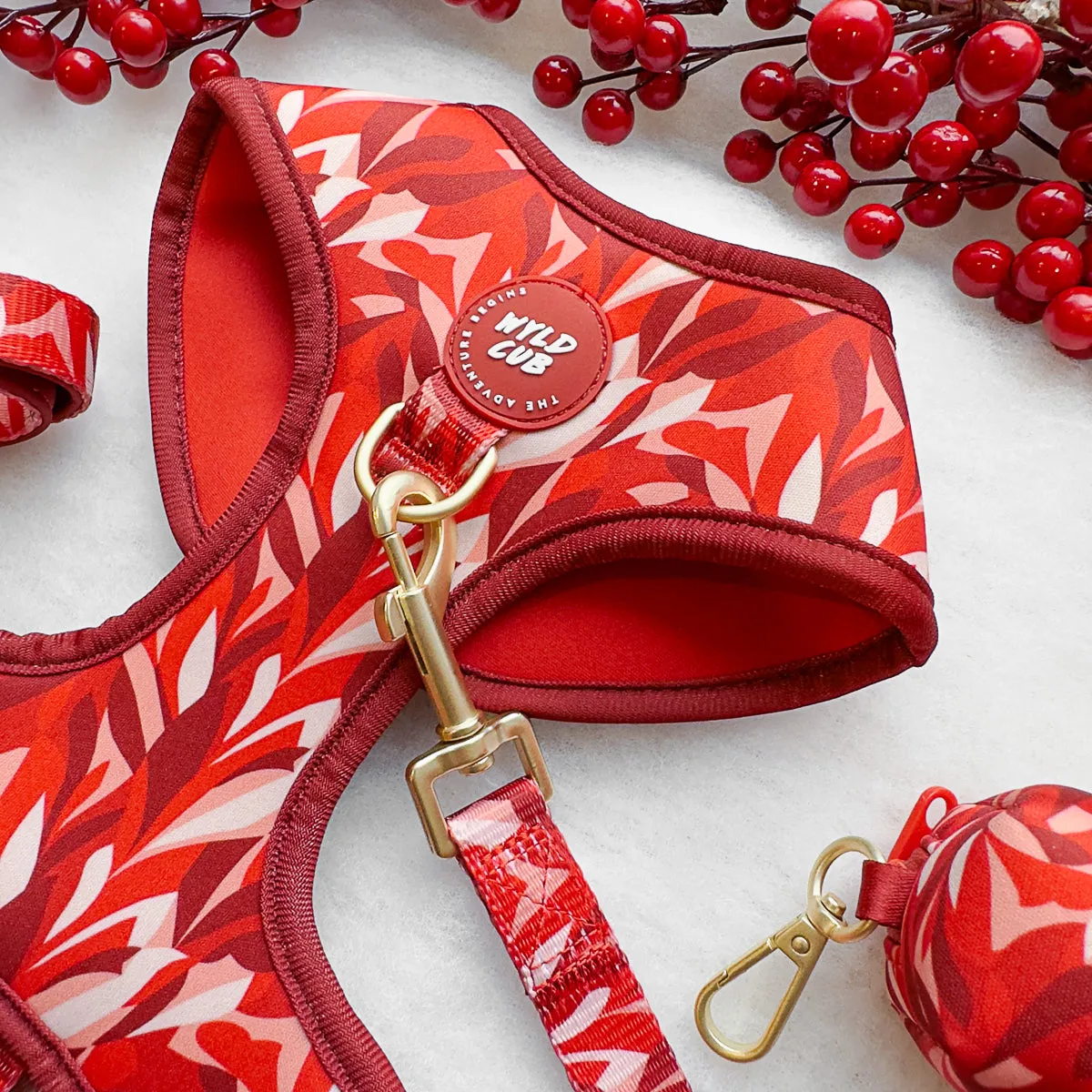 Adjustable Dog Harness: Kew Acer