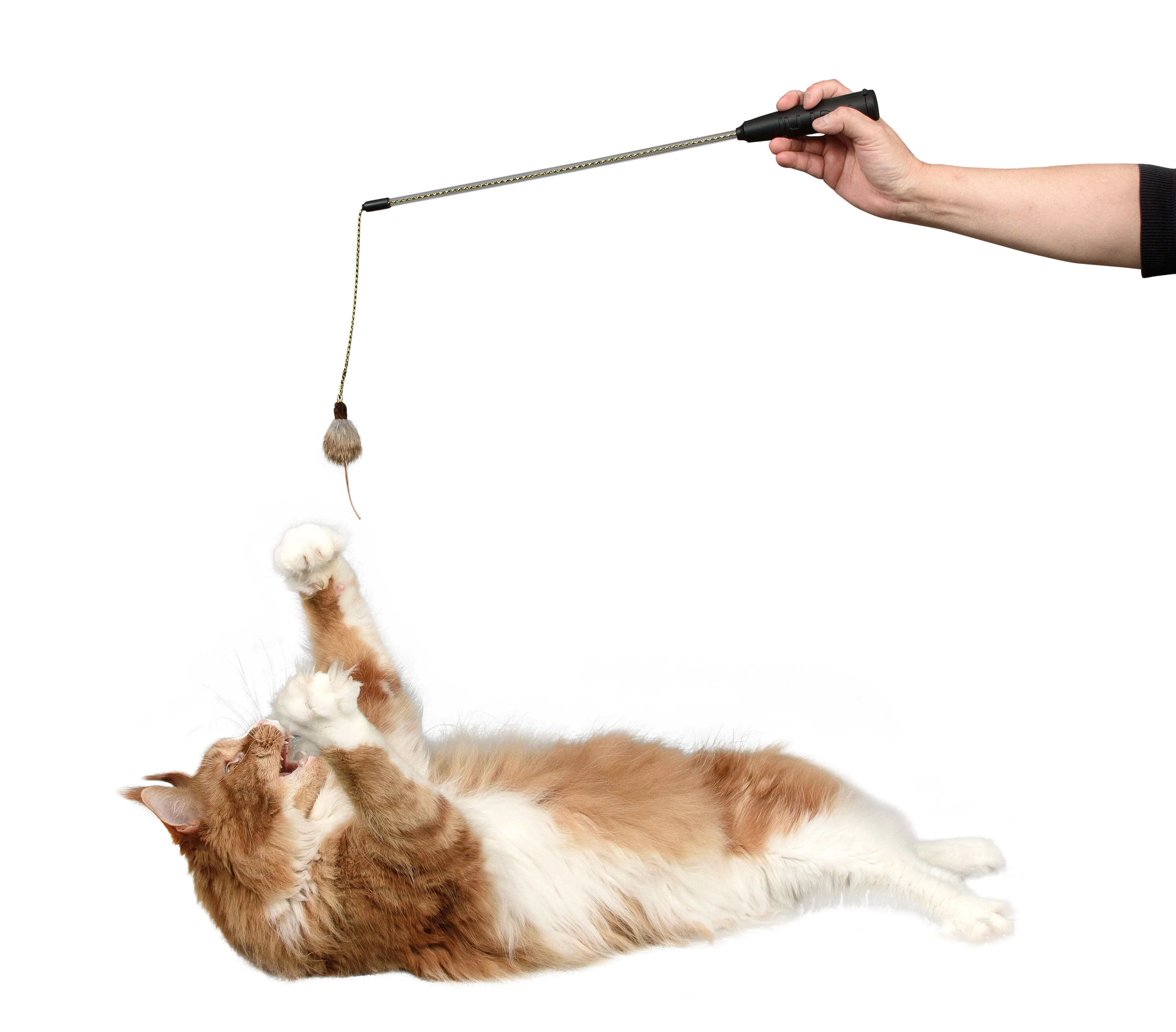 Adjustable String Wand Toy - Mouse