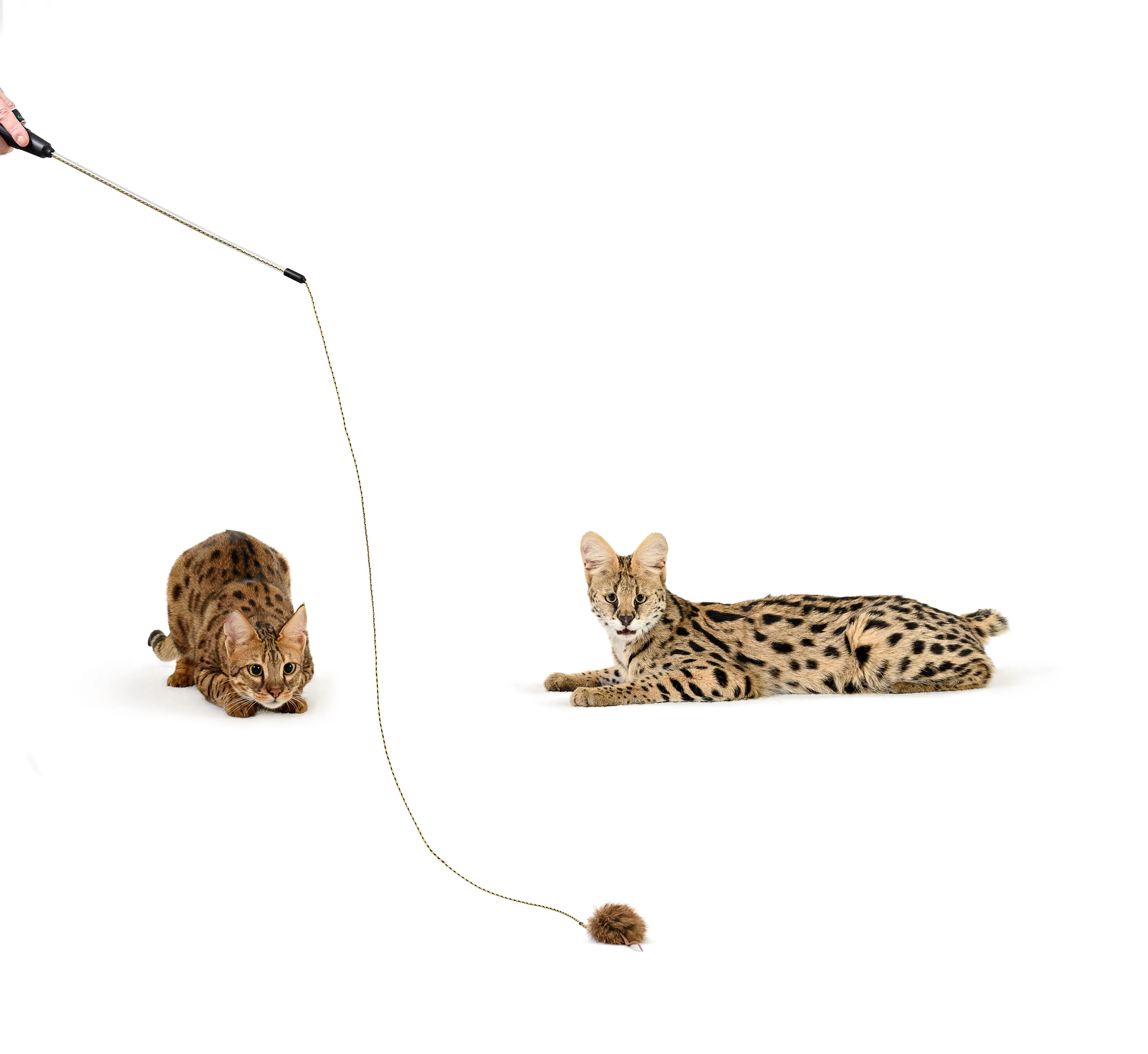Adjustable String Wand Toy - Mouse
