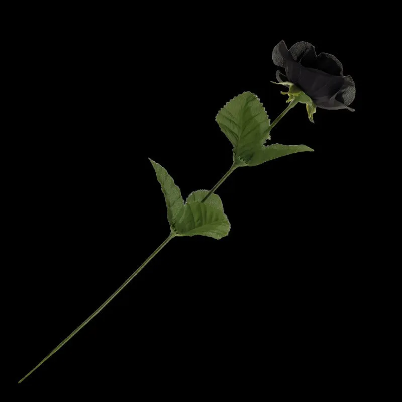 Alchemy of England - Black Artificial Rose