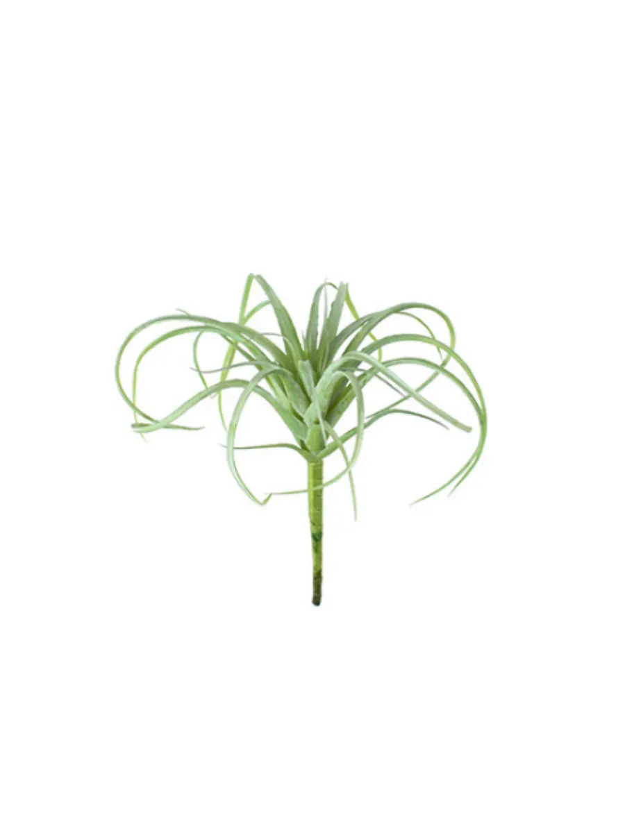 Artificial Air Plant