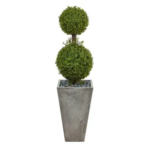 Artificial Boxwood Topiary in Planter