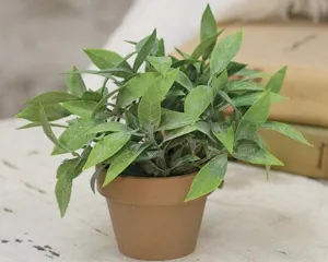 Artificial gatehouse herb greenery in pot