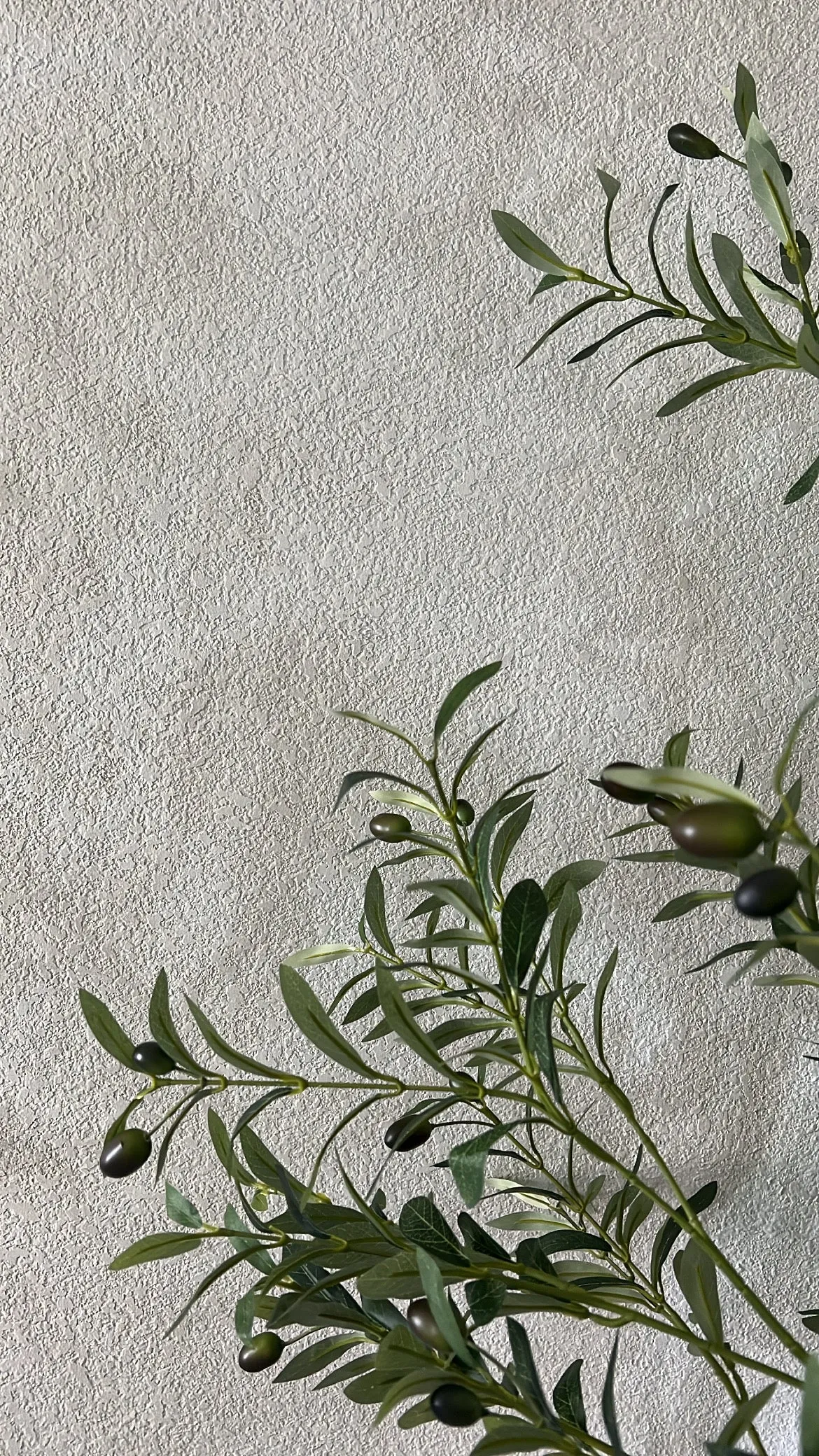 Artificial Olive Tree, 6ft potted tree