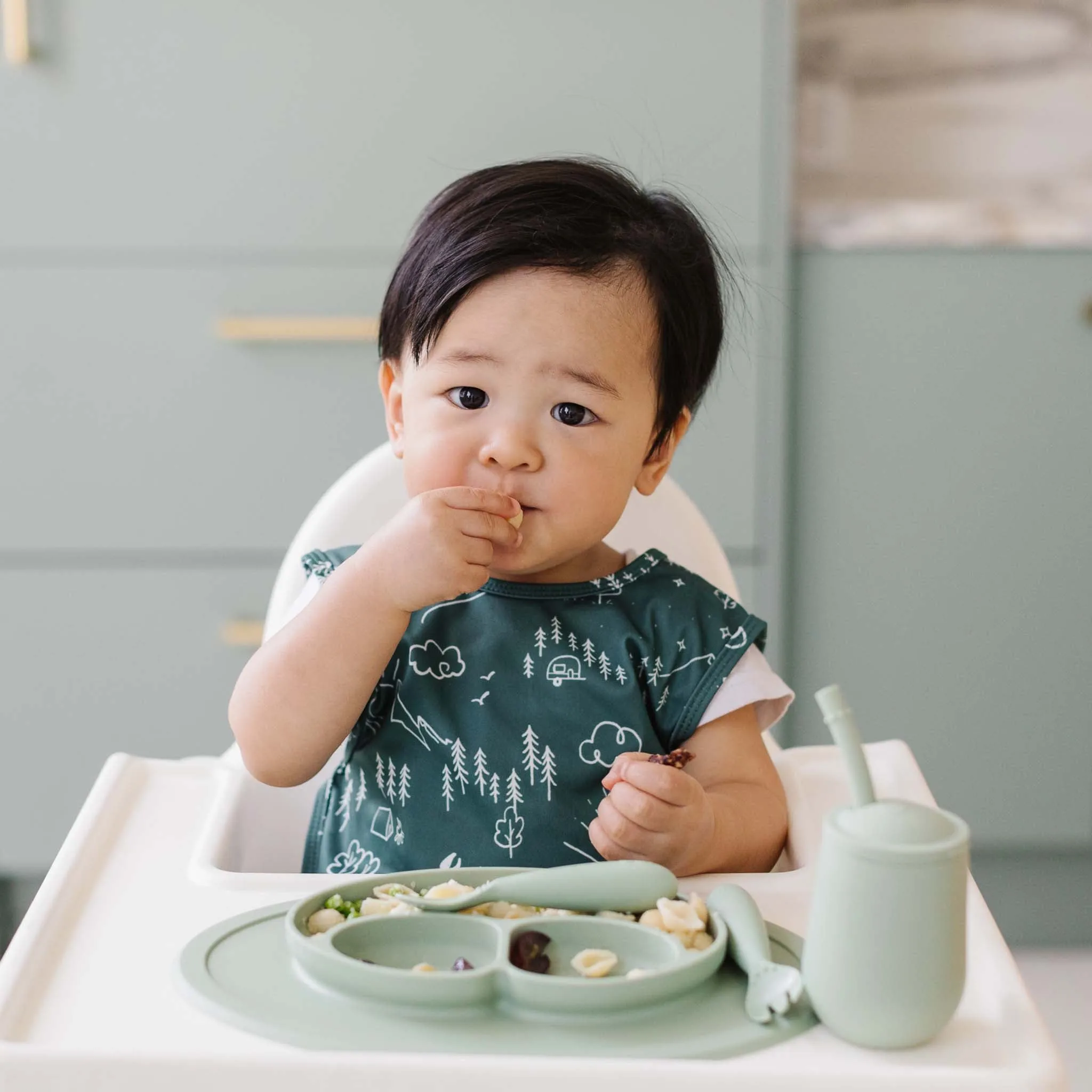BapronBaby Toddler Bib (6m )
