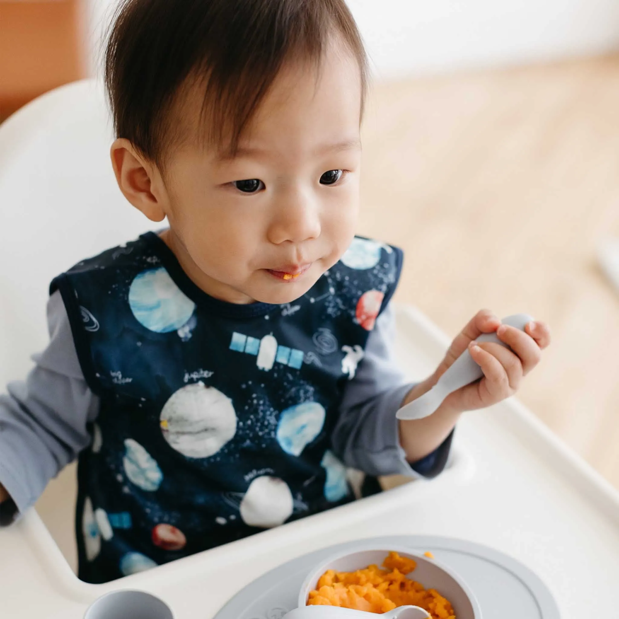 BapronBaby Toddler Bib (6m )