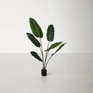 Bird of Paradise Faux Plant in Pot