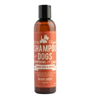 Black Sheep Organics - Carrot Seed & Juniper Organic Shampoo
