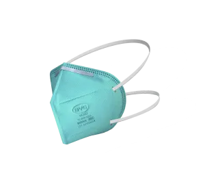 BYD N95 Particulate Respirator - 1 Carton (960 Pcs Per Carton)