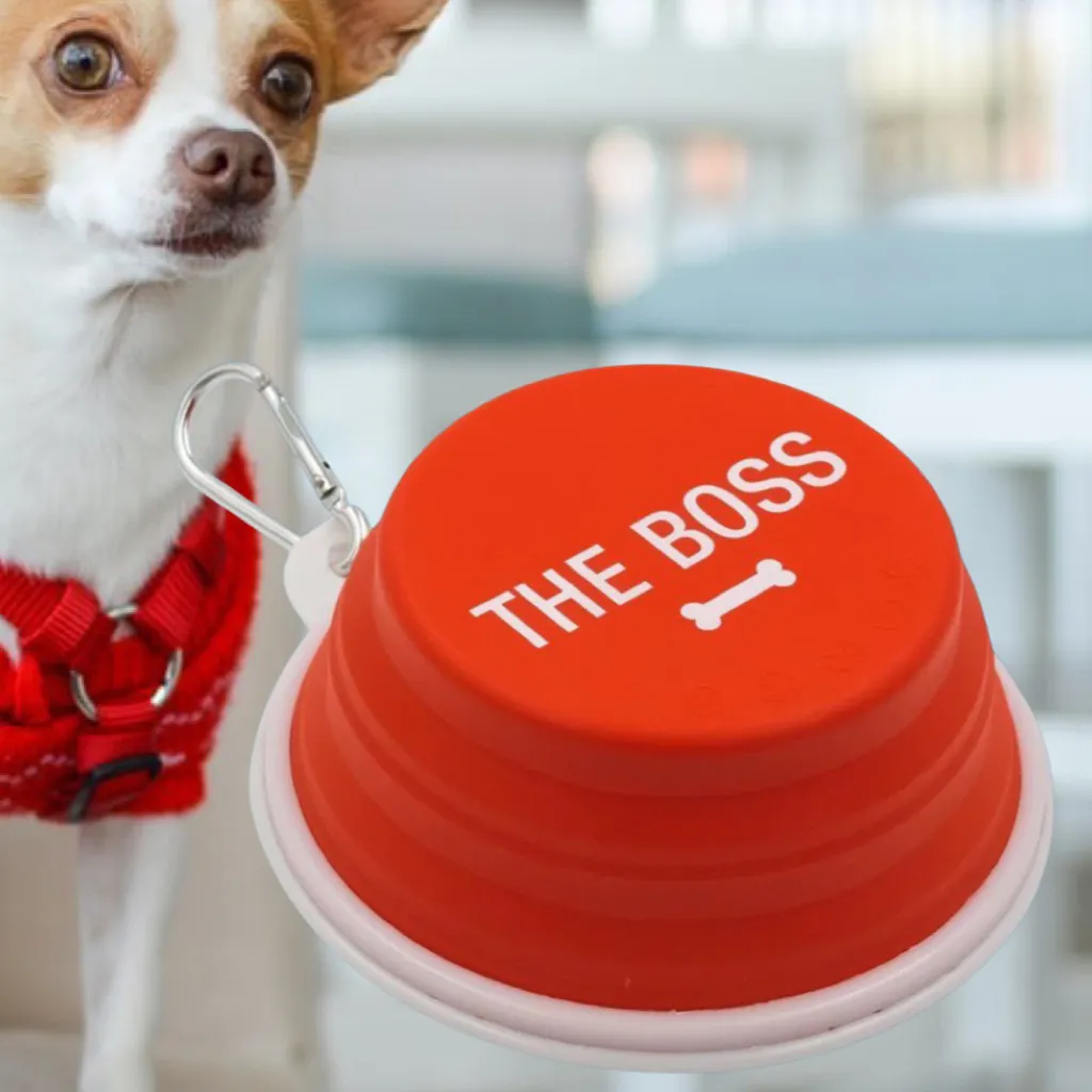 Collapsible Dog Bowl - The Boss