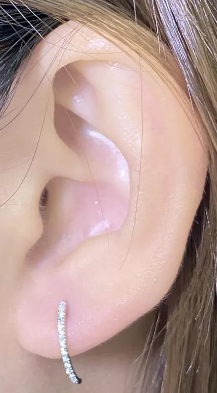 Diamond Earrings CE31