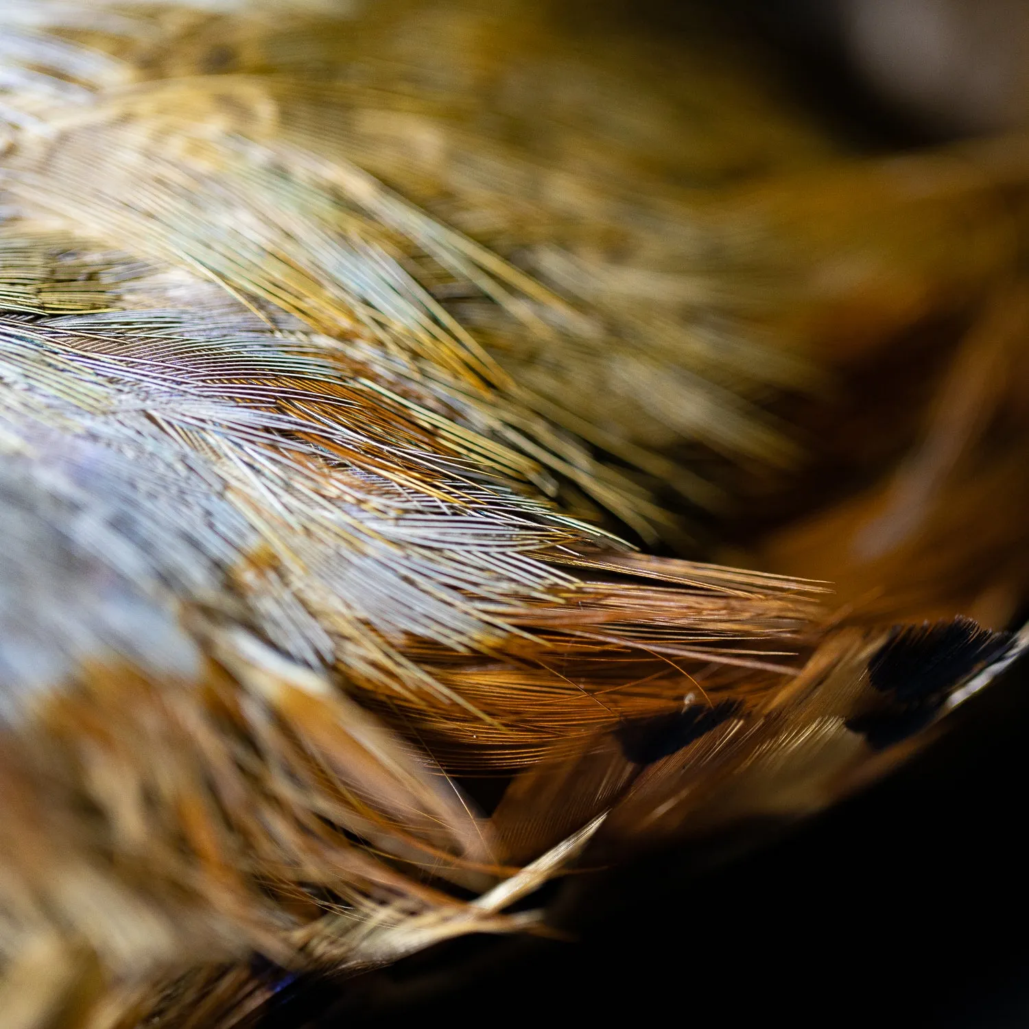 Fringe Benefits