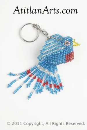 Fringe Tail Bird blue red breast [Birds]