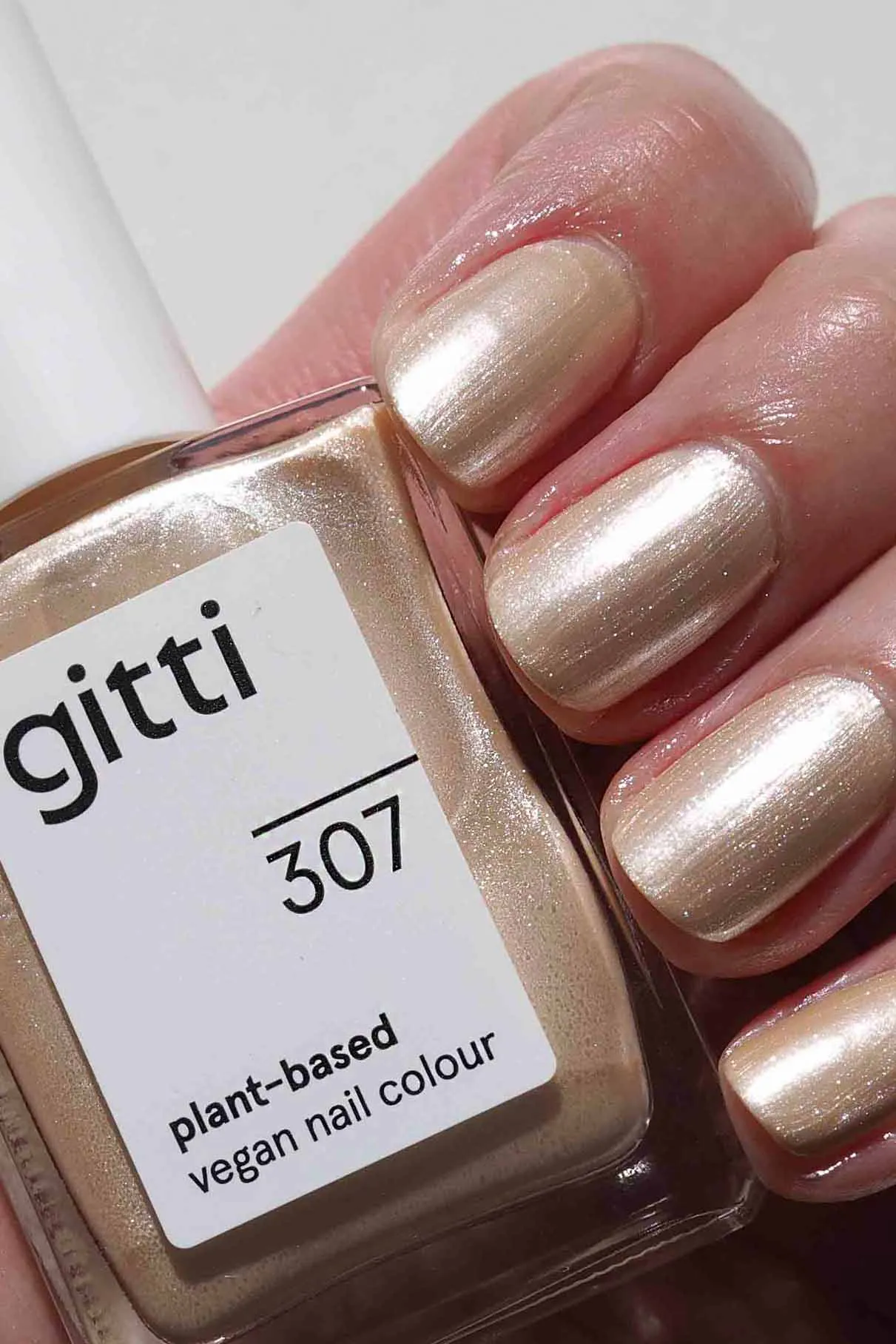 gitti no. 307