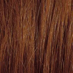 Gwen by Amore | Human Hair Wig | CLOSEOUT