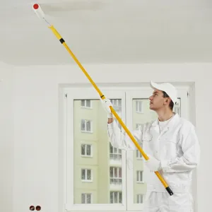 Homestead House  CEILING PAINT