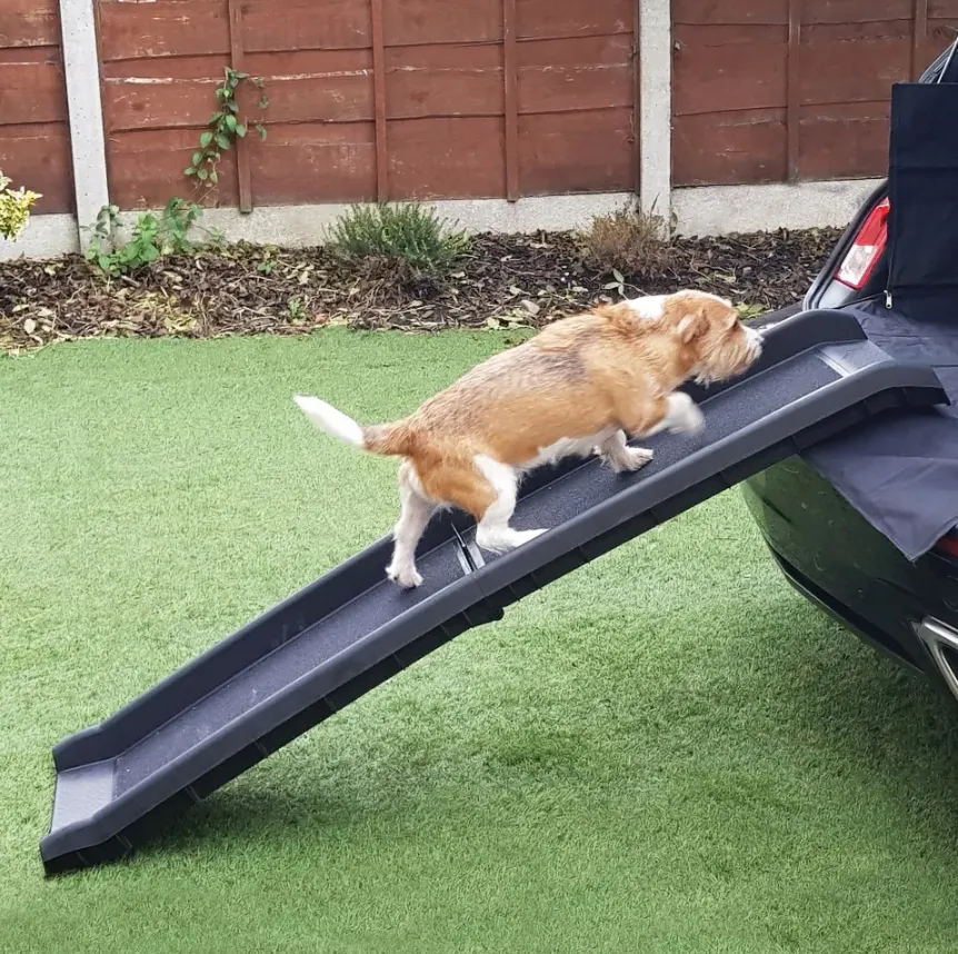 Item Shows Light Use! Streetwize Non Slip Foldable Pet Ramp, Retails $99 