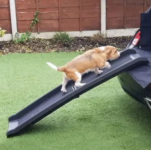 Item Shows Light Use! Streetwize Non Slip Foldable Pet Ramp, Retails $99 