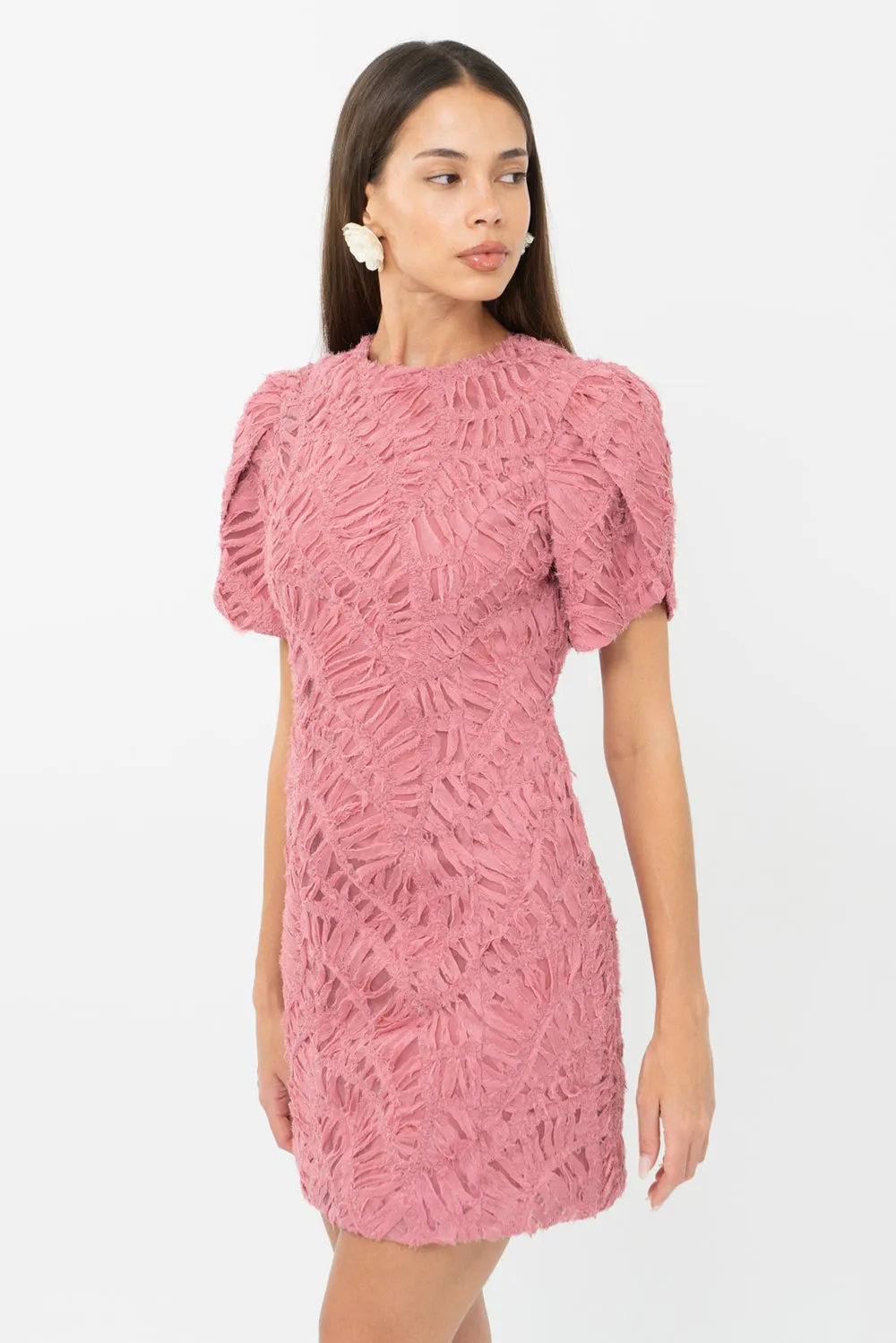 Janice 3D Lace Mini Dress
