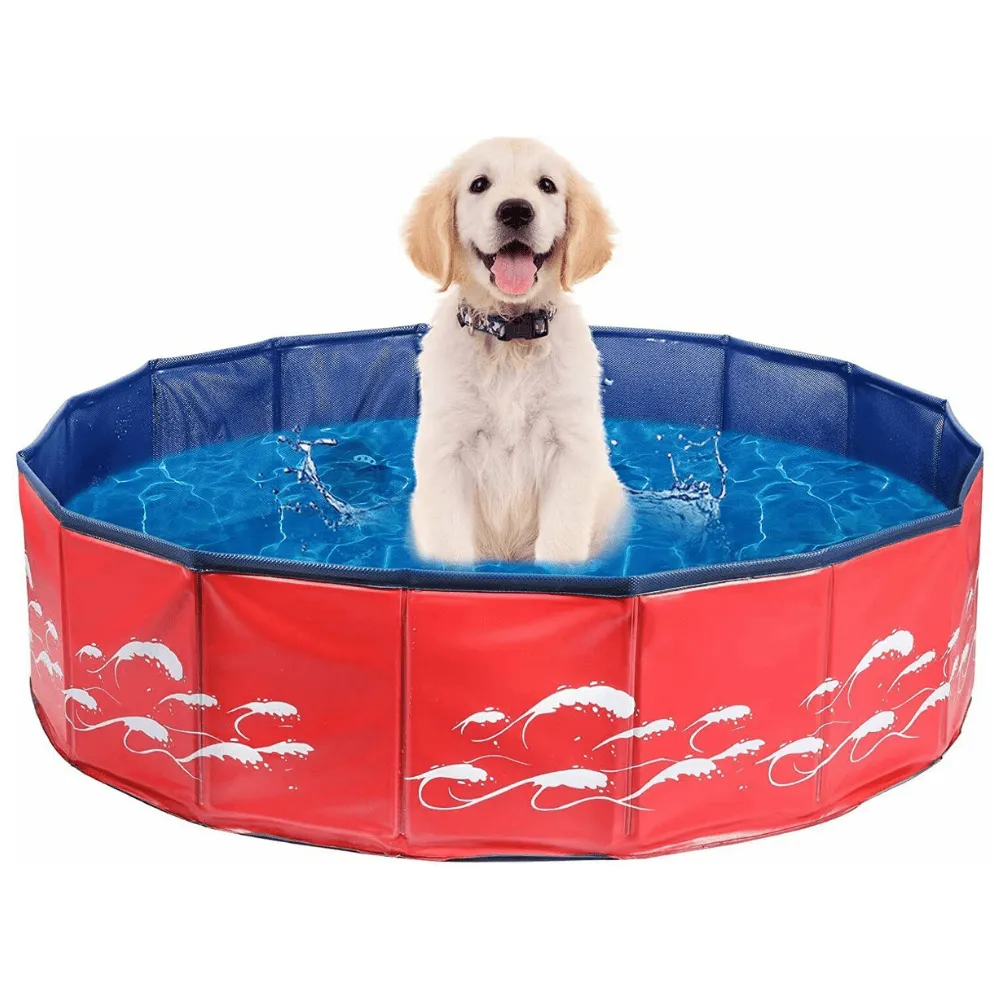 Large Collapsible Pet Dog Swimming Pool