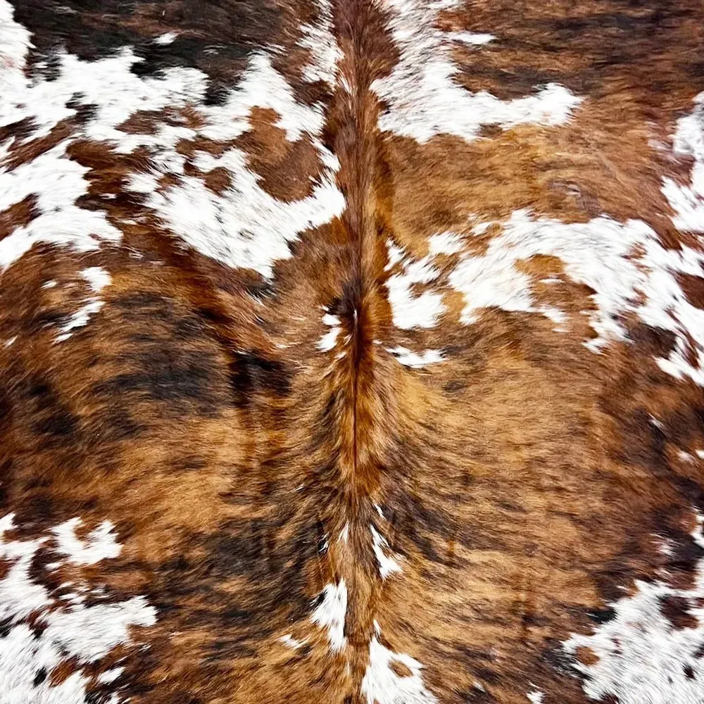 Large Tricolor Size 6.7 x 6.9 ft---5096