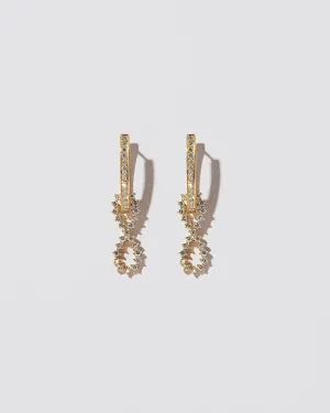 Lifecycle Earrings