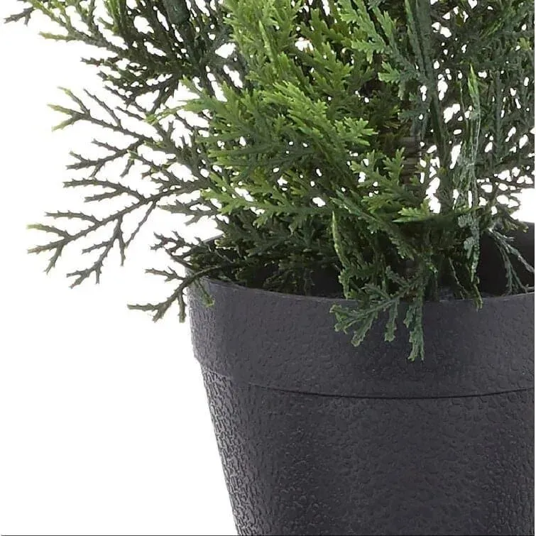 Mini Cedar Pine Silk Tree in Black Pot