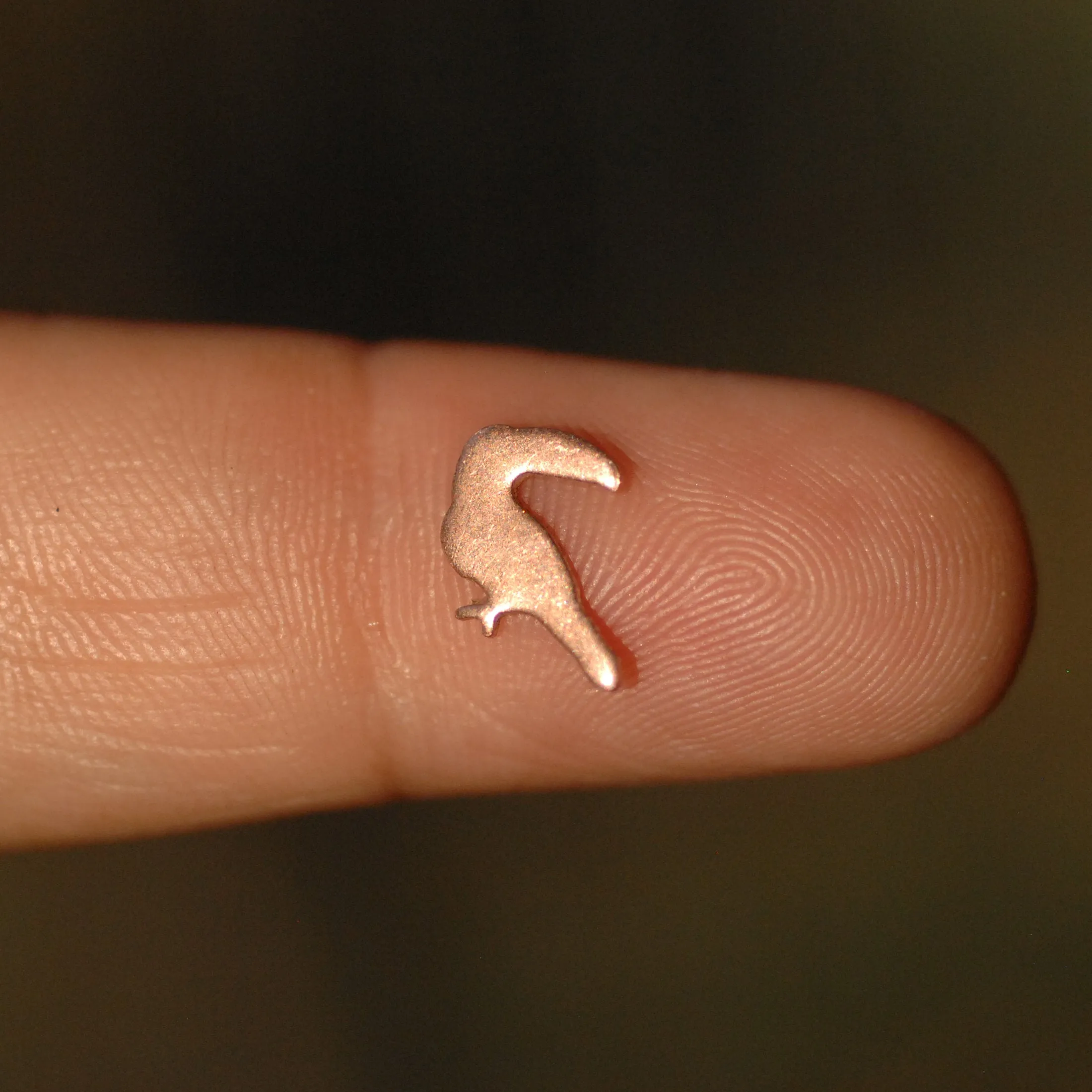 My MOST Super Tiny Realistic Toucan Bird Blank Metal Cutout for 24g DIY Tiny Blanks for Jewelry Making Mini shapes, Supplies by SupplyDiva