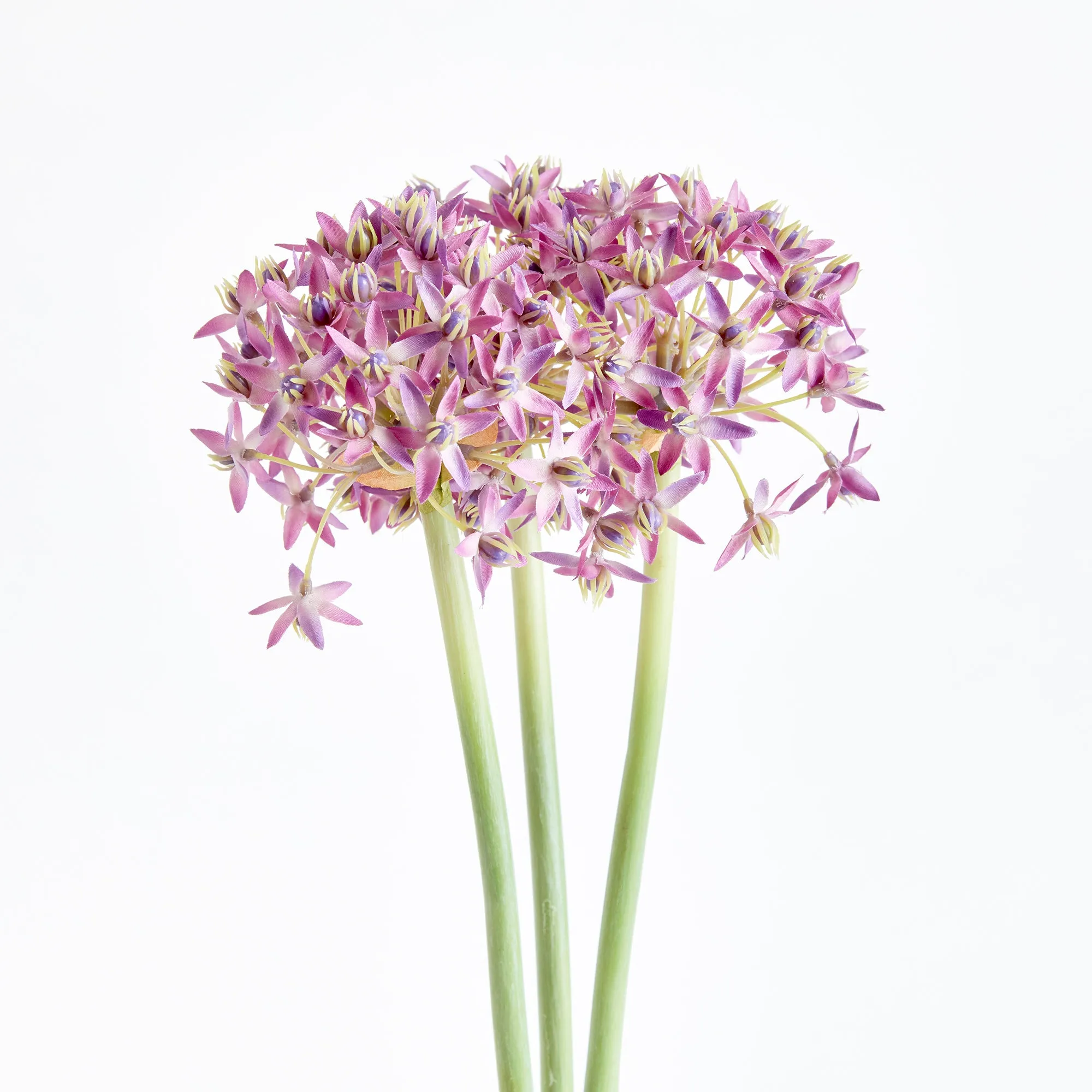 NAPA Home & Garden, ALLIUM STEMS 19", BUNDLE OF 3,N3CC22PRL