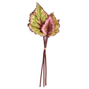 NAPA Home & Garden, BEGONIA LEAF STEMS, BUNDLE OF 3,NTP502