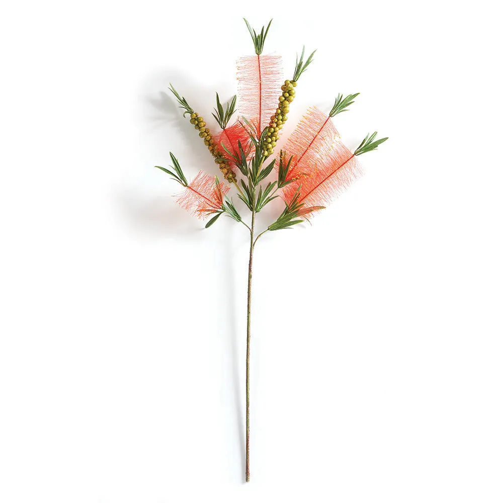 NAPA Home & Garden, BOTTLE BRUSH STEM 32",TP216