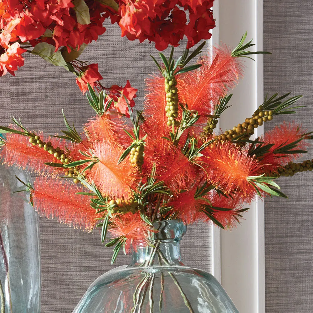 NAPA Home & Garden, BOTTLE BRUSH STEM 32",TP216