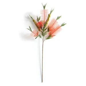 NAPA Home & Garden, BOTTLE BRUSH STEM 32",TP216