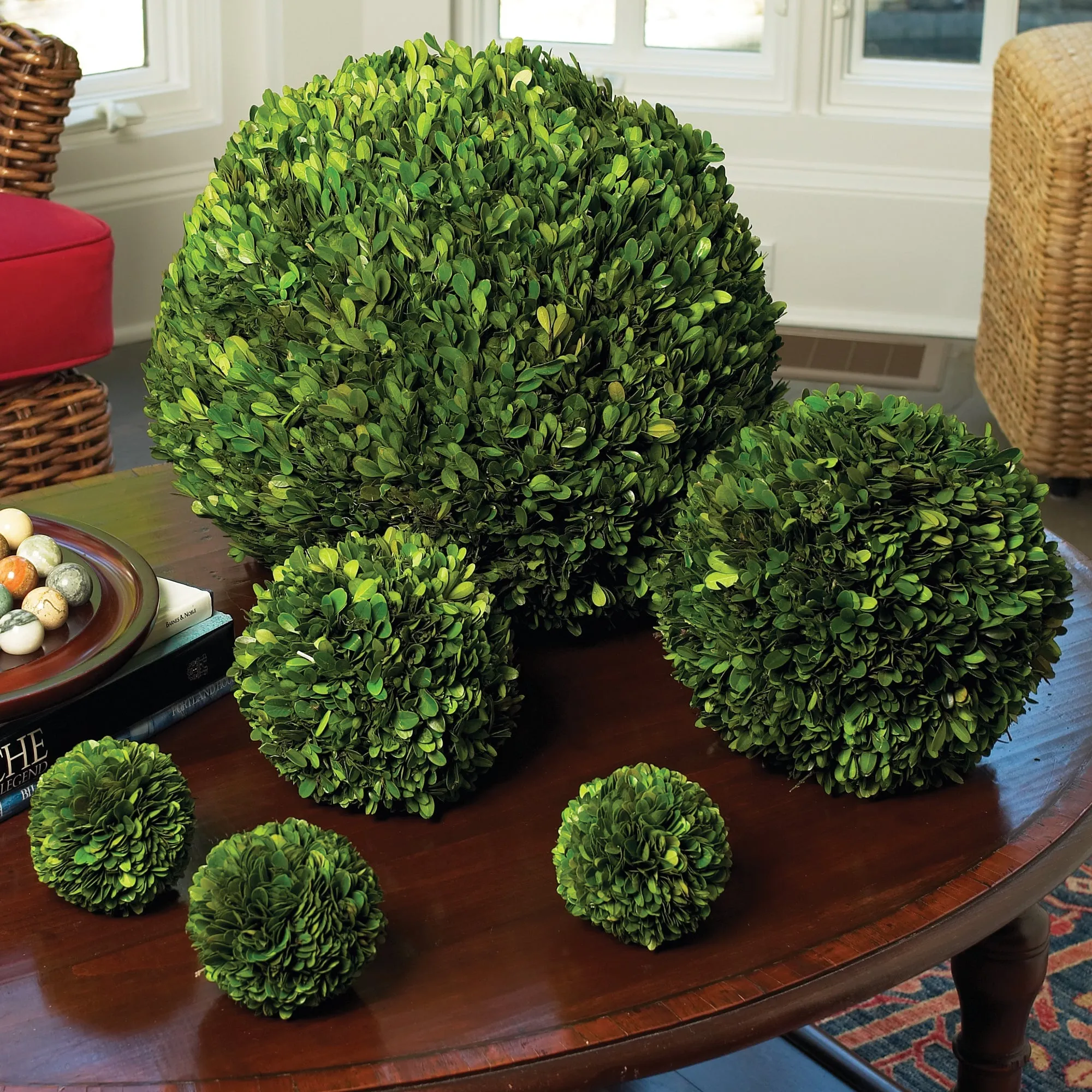 NAPA Home & Garden, BOXWOOD BALL 6",7504PG