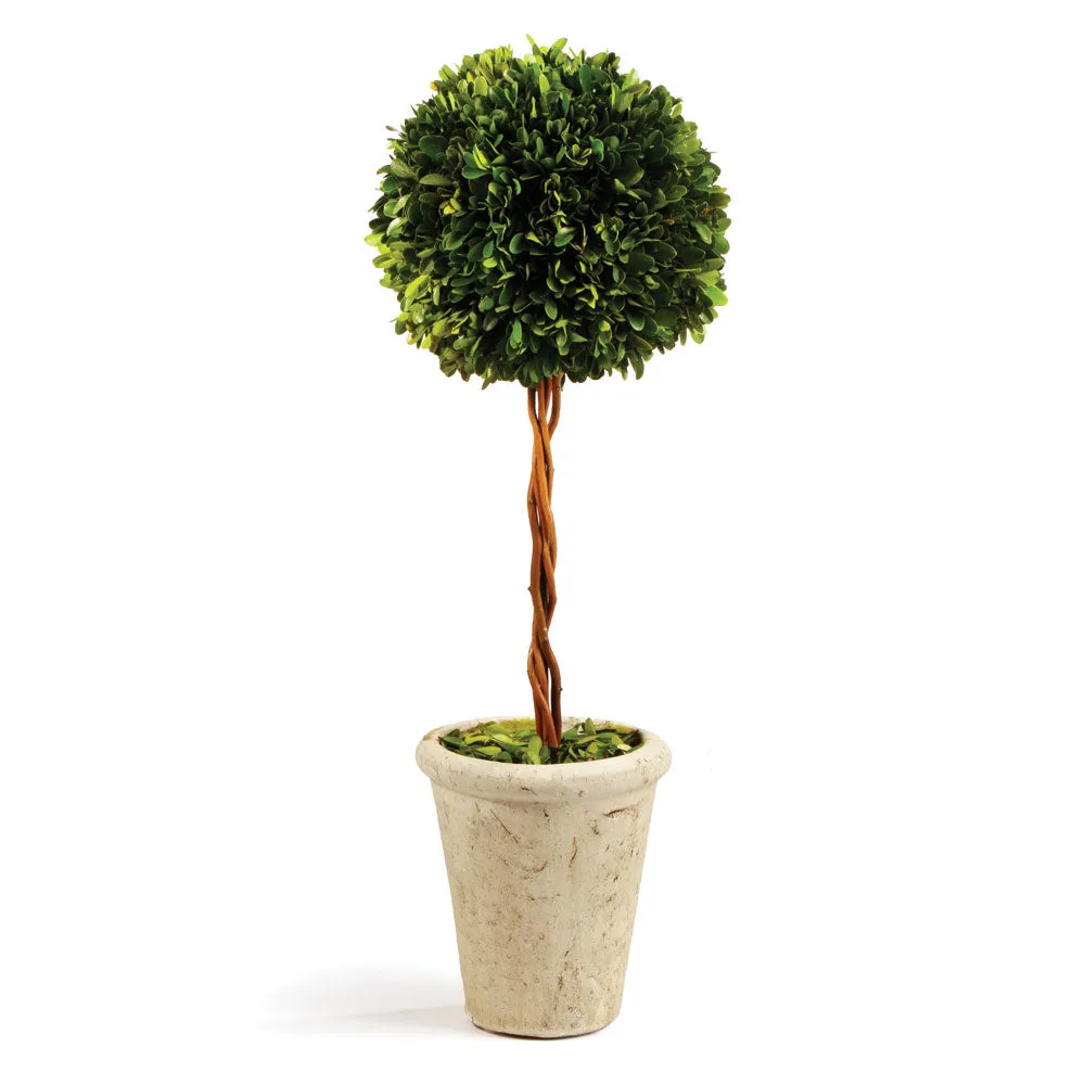 NAPA Home & Garden, BOXWOOD SINGLE SPHERE TOPIARY 18.5",7536PG