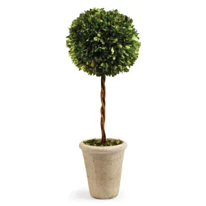 NAPA Home & Garden, BOXWOOD SINGLE SPHERE TOPIARY 23.25",7537PG