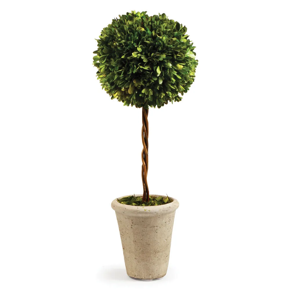NAPA Home & Garden, BOXWOOD SINGLE SPHERE TOPIARY 23.25",7537PG