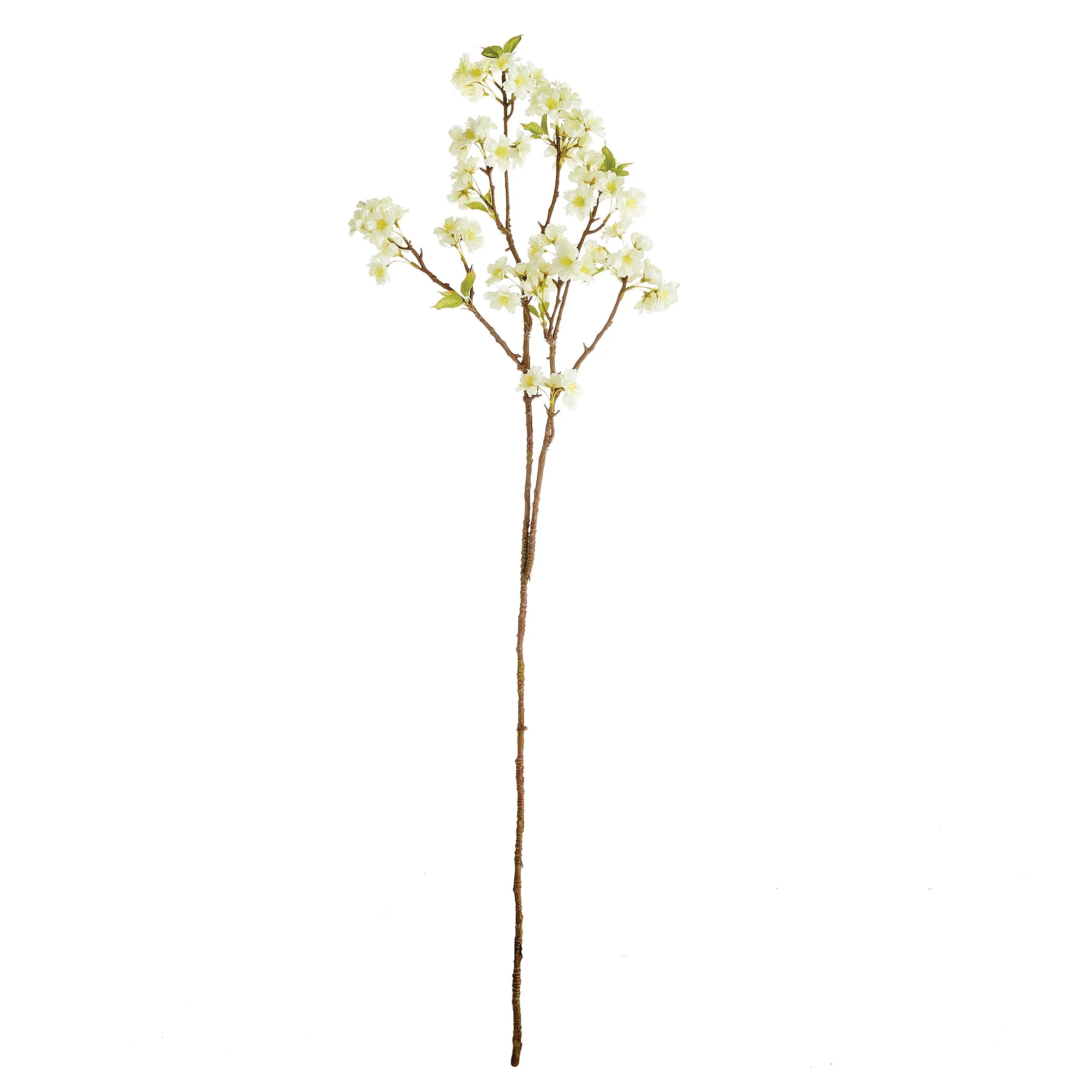 NAPA Home & Garden, CHERRY BLOSSOM BRANCH 47",N2GP07