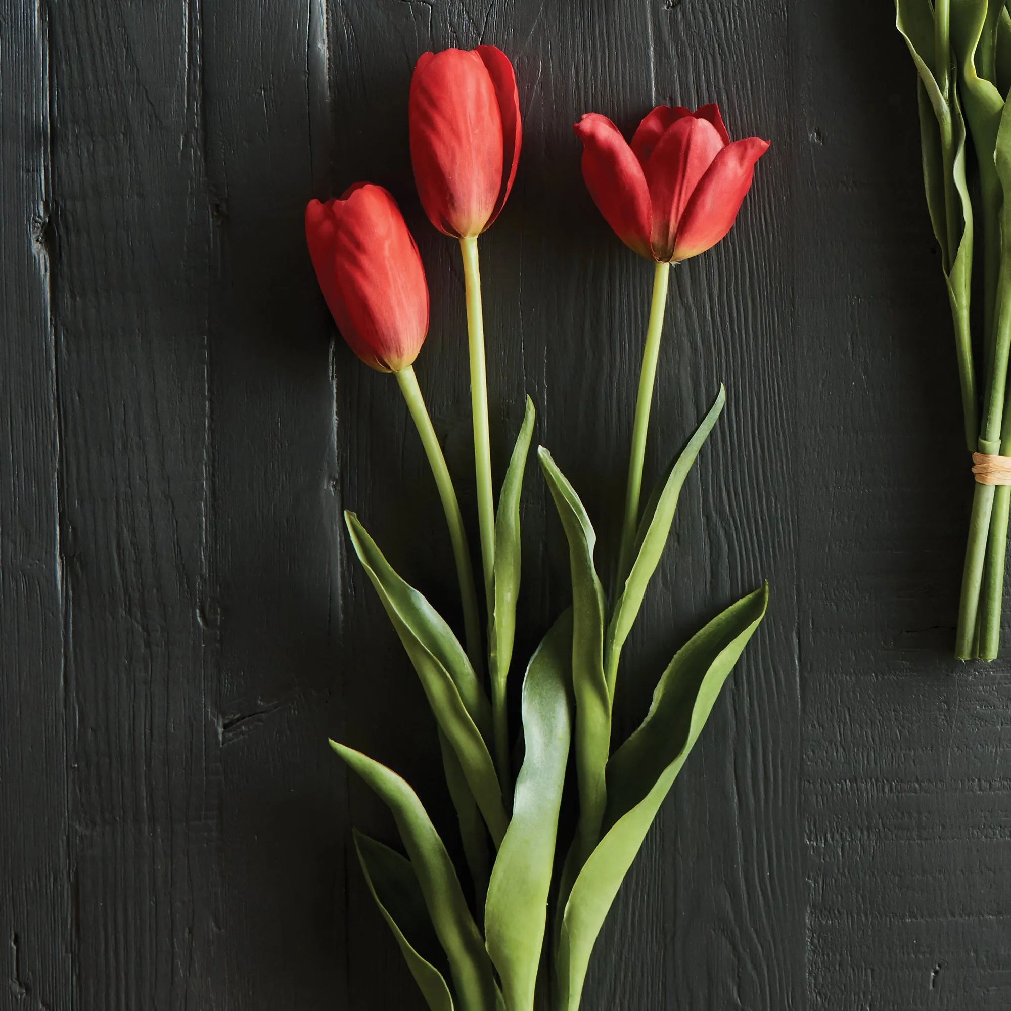 NAPA Home & Garden, FRENCH TULIPS 24", BUNDLE OF 3,CC316RD