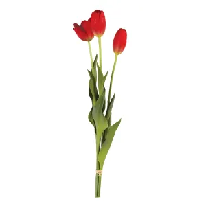 NAPA Home & Garden, FRENCH TULIPS 24", BUNDLE OF 3,CC316RD