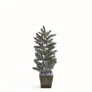 NAPA Home & Garden, FROSTED PINE SAPLING IN WOOD POT 20.5"H,Z5139FR