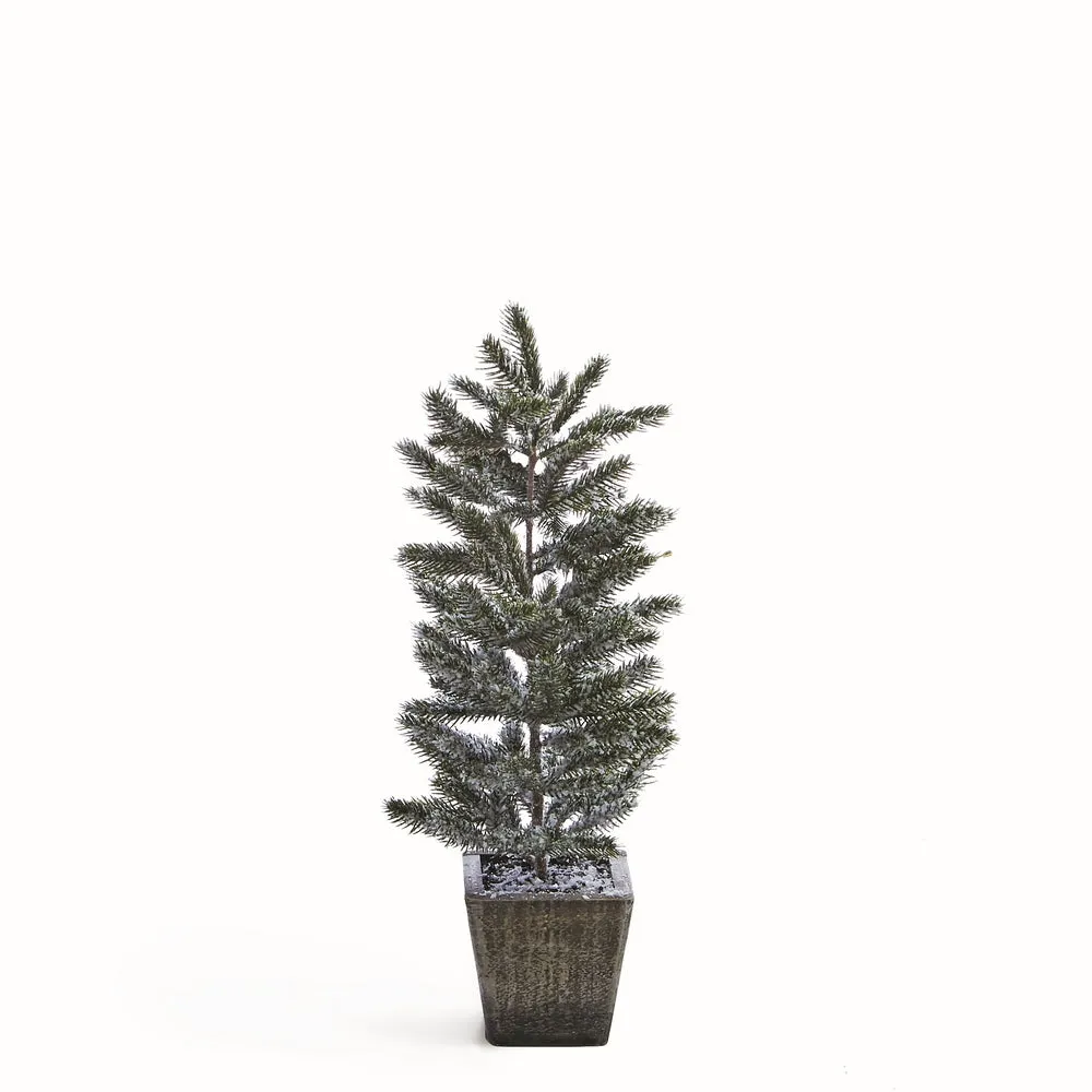 NAPA Home & Garden, FROSTED PINE SAPLING IN WOOD POT 20.5"H,Z5139FR