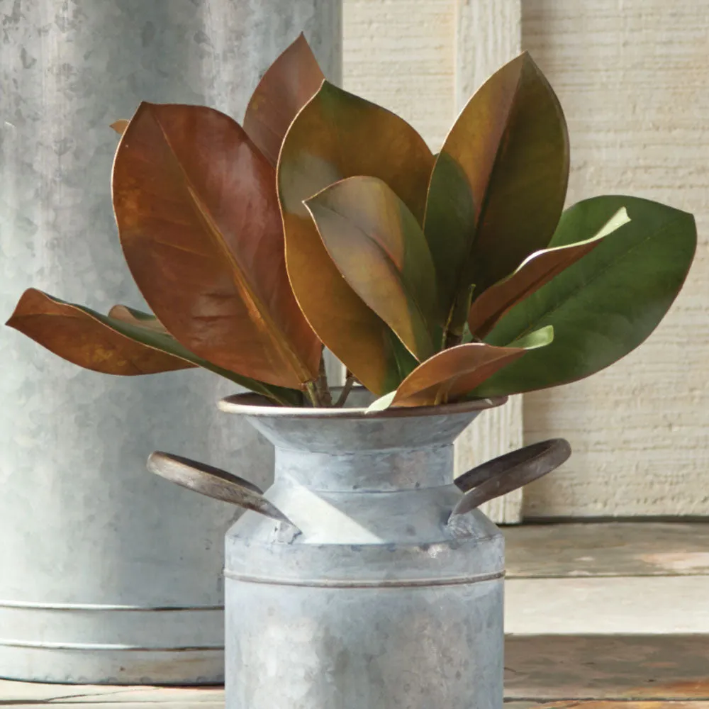 NAPA Home & Garden, GRAND MAGNOLIA PICK 16",K100