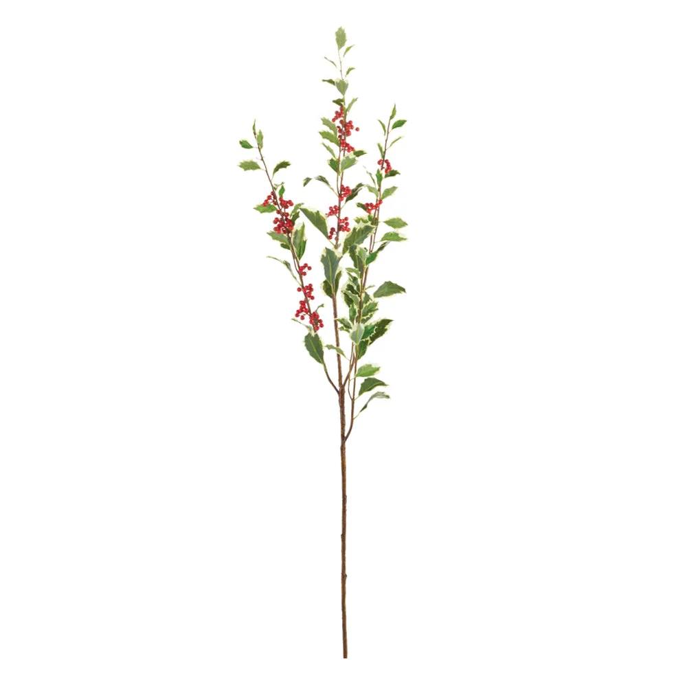 NAPA Home & Garden, HOLLY BRANCH 48",Z3101VRR