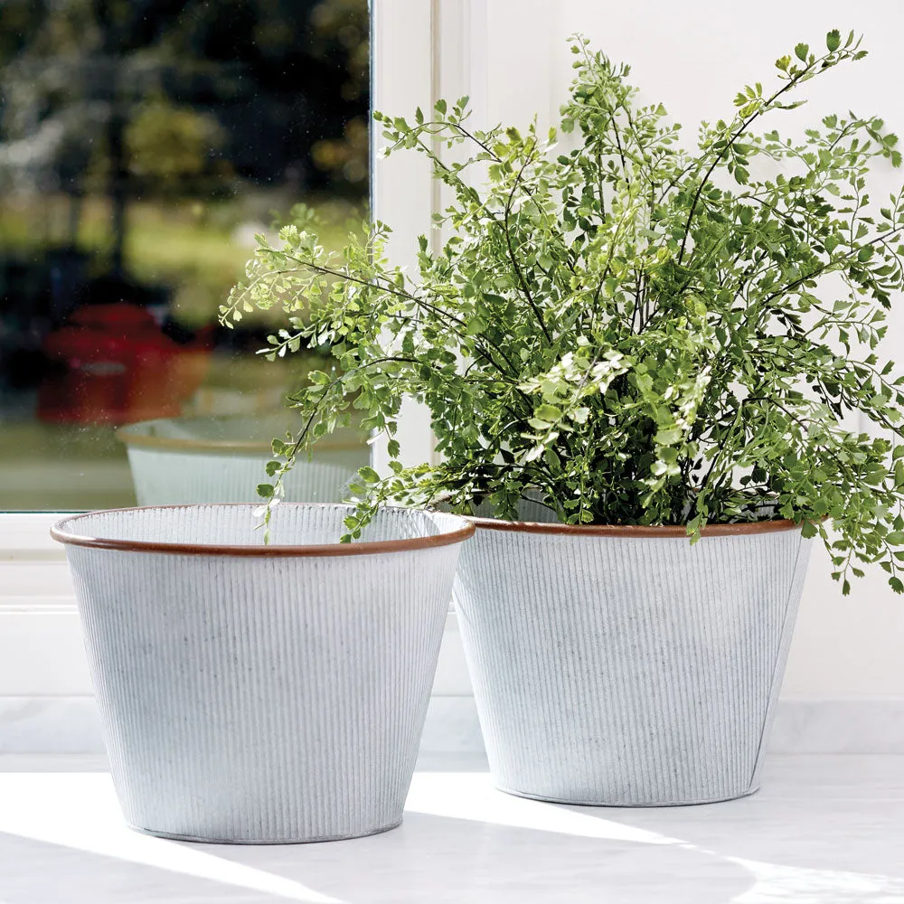 NAPA Home & Garden, MAIDENHAIR DROP-IN 23",DI1207