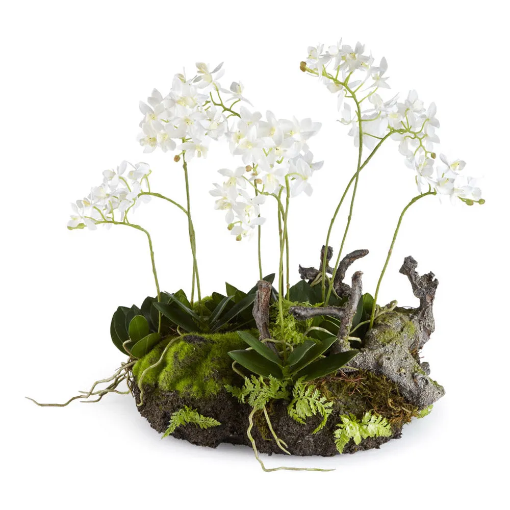 NAPA Home & Garden, MINI DENDROBIUM WITH RUSTIC DROP-IN 16",DI1209