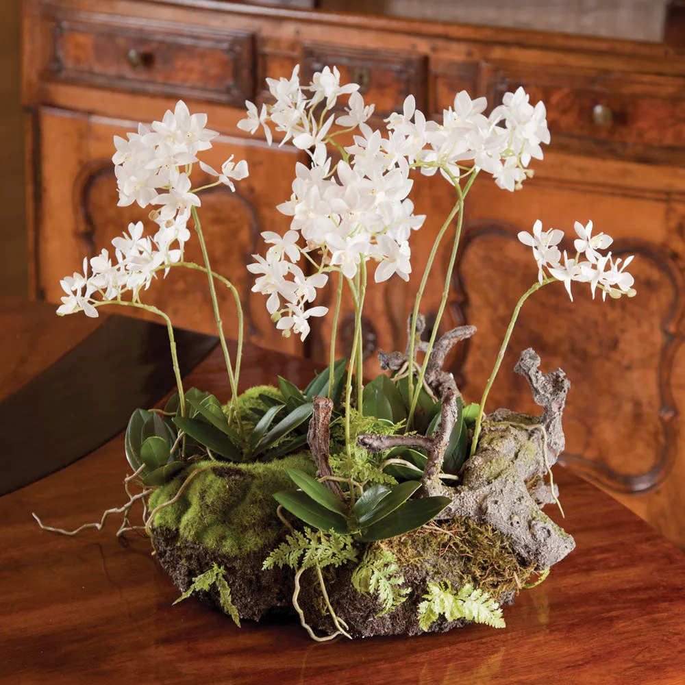 NAPA Home & Garden, MINI DENDROBIUM WITH RUSTIC DROP-IN 16",DI1209