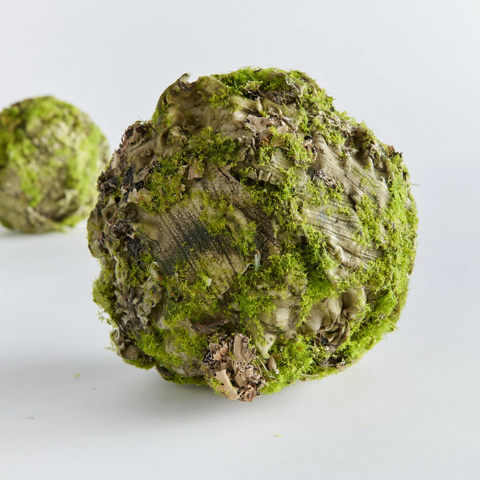 NAPA Home & Garden, MOSSY LICHEN ORB 6.5",N4TP02